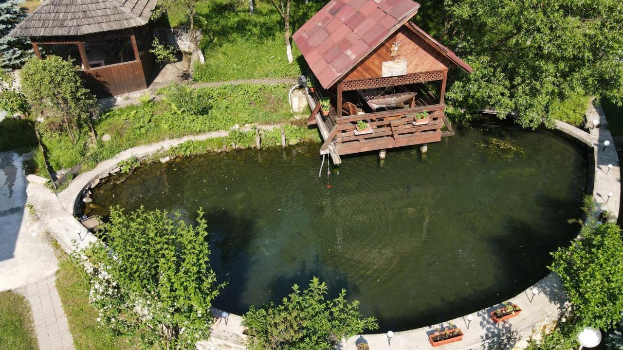 Pensiunea Nagy Vişeu de Sus Buitenkant foto